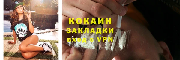2c-b Пестово