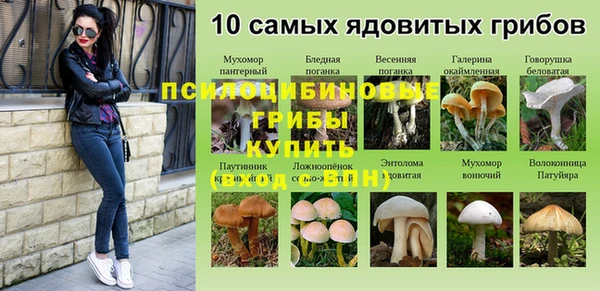 2c-b Пестово