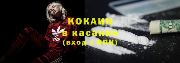 2c-b Пестово
