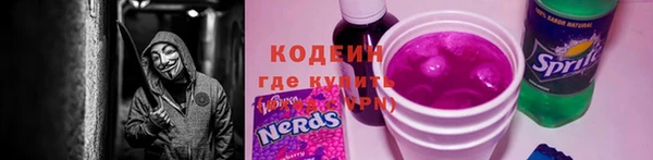 2c-b Пестово