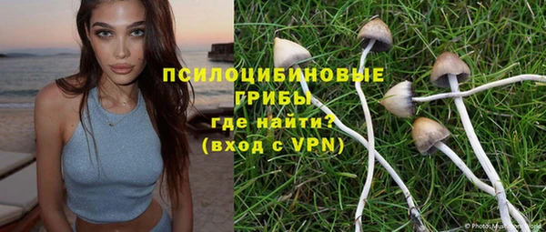 тгк Покров