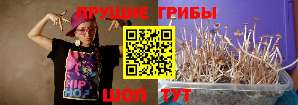Псилоцибиновые грибы мицелий Верхняя Салда