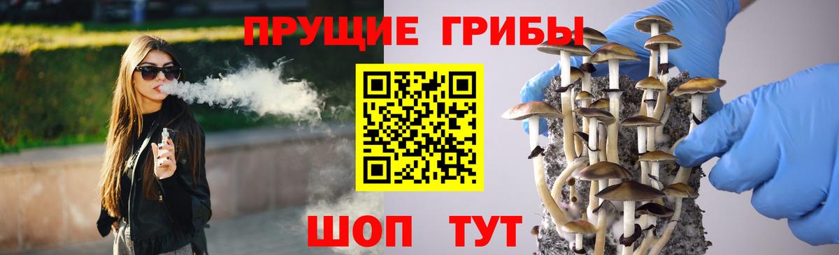 Псилоцибиновые грибы прущие грибы  Псилоцибиновые грибы ЛСД  где продают   Верхняя Салда 